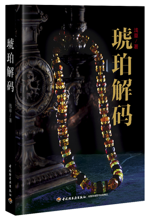 琥珀解码 封面