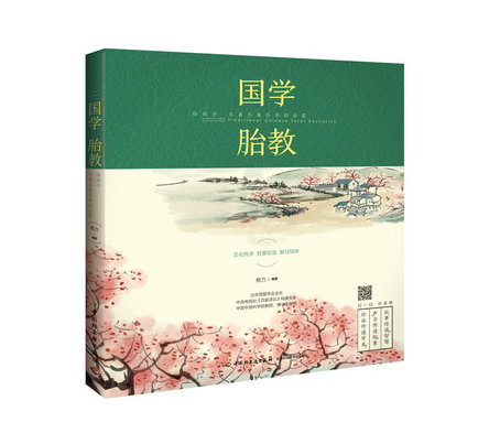 国学胎教：给孩子尽善尽美尽早的启蒙 封面