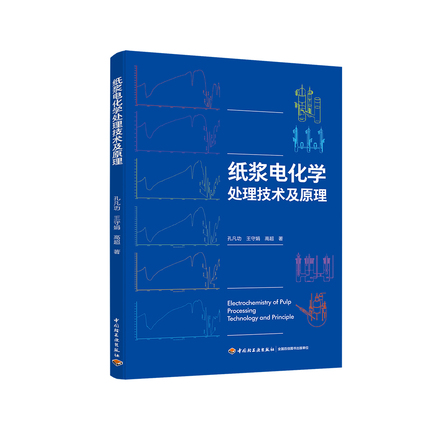纸浆电化学处理技术及原理 封面