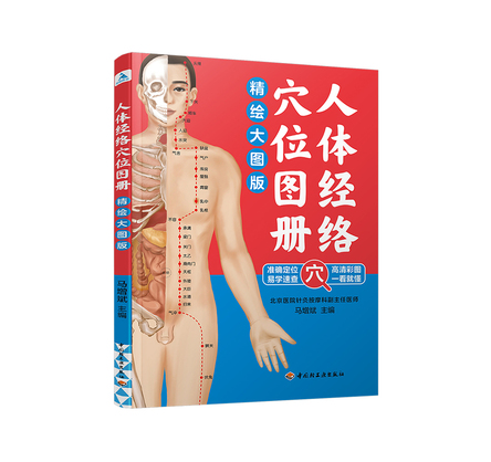 人体经络穴位图册（精绘大图版） 封面