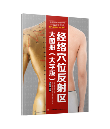 经络穴位反射区大图册（大字版） 封面